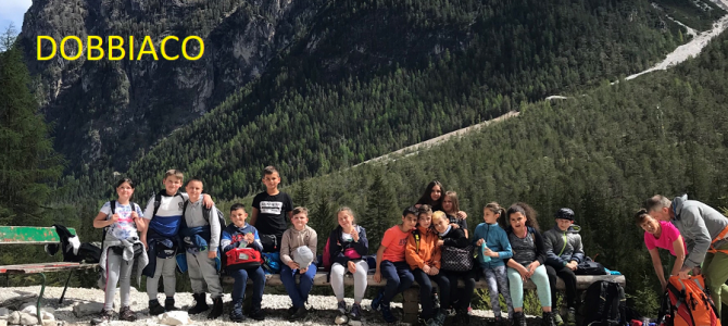 Giornate verdi Giornate verdi